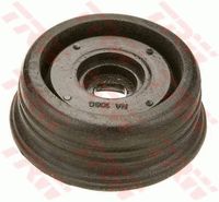 Federbeinstützlager