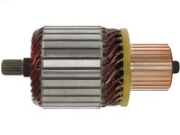 ANKER STARTER