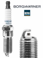 Bujie BorgWarner (BERU), Cod: Z177