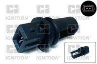 Sensor, Ansauglufttemperatur