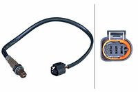 ламбда-сонда