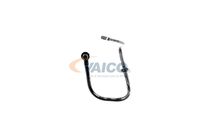 Vakuuma šļūtene, Bremžu sistēma