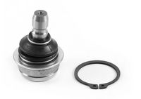 Trag-/Führungsgelenk