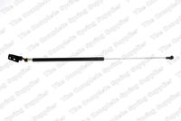 Amortizor portbagaj KILEN, Cod: 436005