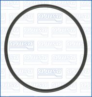 DICHTRING VERSCHLUSSSTOPFEN-SERVOPUMPE
