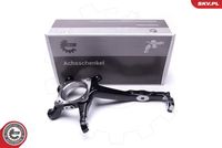 Steering Knuckle, wheel suspension