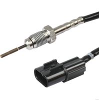 Sensor, Abgastemperatur