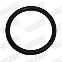 Halter, Abgasanlage