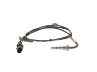 Sensor, Abgastemperatur