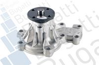 Wasserpumpe, Motorkühlung