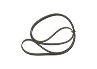 Ιμάντας poly-V