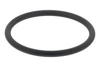 Garnitura, carcasa filtru aer TOPRAN, Cod: 113 883