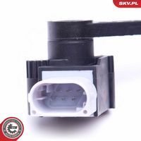 Article Picture