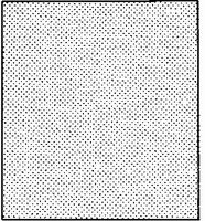 TYPSCHILD