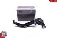 Steering Knuckle, wheel suspension