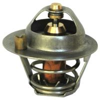 Thermostat, Kühlmittel