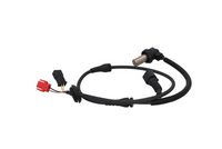 Article Picture