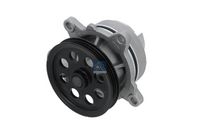 DT Spare Parts Waterpomp, motorkoeling 2