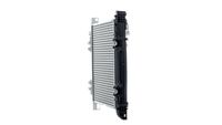 Thumbnail - Intercooler, inlaatluchtkoeler - CI270000P - MAHLE