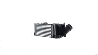 Thumbnail - Intercooler, inlaatluchtkoeler - CI686000S - MAHLE