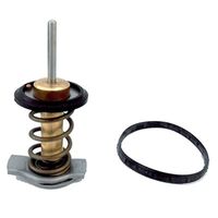 Thermostat, Kühlmittel