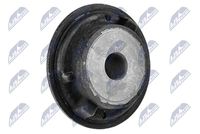 тампон, носач