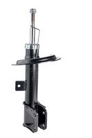 Amortizor DR!VE+, Cod: DP1610.10.0036