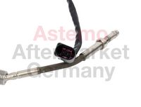 Sensor, Abgastemperatur