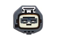 DT Spare Parts Kantelpomp, cabine 3