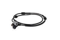 Sensor, Raddrehzahl Sensor, Raddrehzahl