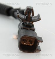 Article Picture
