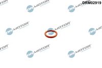 Blīve, Eļļas noliešana (Kompresors) DRM02919 Dr