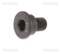 Schraube, Bremsscheibe