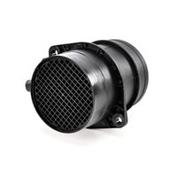 DELPHI Luchtmassameter 4