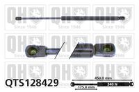 Gasfeder, Koffer-/Laderaum