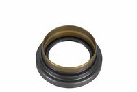 Wellendichtring, Differential Wellendichtring, Differential