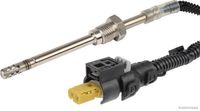 Sensor, Abgastemperatur
