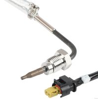 Sensor, Abgastemperatur