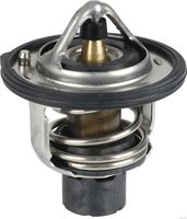 Thermostat, Kühlmittel