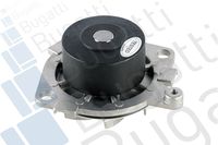 Wasserpumpe, Motorkühlung