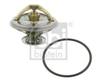 Thermostat, Kühlmittel