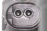 Article Picture