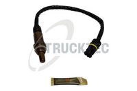 ламбда-сонда