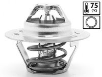 Thermostat, Kühlmittel