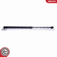 Article Picture