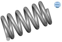 пружина за ходовата част