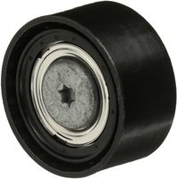 Umlenk-/Führungsrolle, Keilrippenriemen
