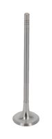 Article Picture