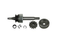Freewheel Gear, starter