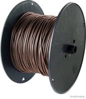 Elektroleitung